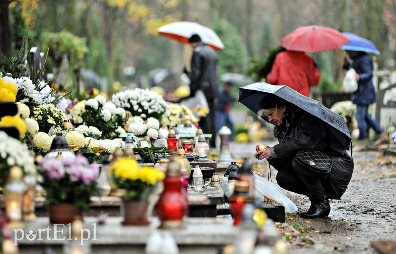 1 listopada na cmentarzu Agrykola zdjęcie nr 139152