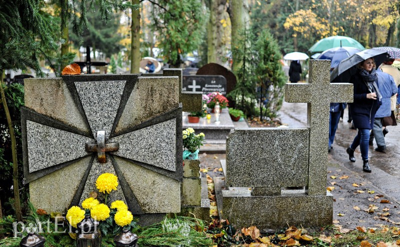 1 listopada na cmentarzu Agrykola zdjęcie nr 139150