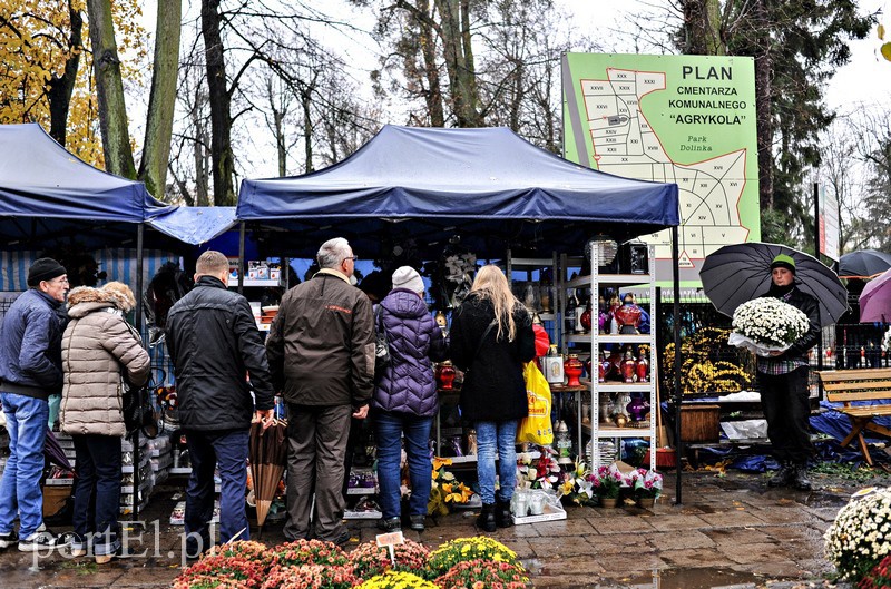 1 listopada na cmentarzu Agrykola zdjęcie nr 139131