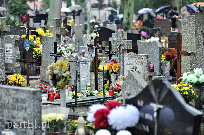 1 listopada na cmentarzu Agrykola zdjęcie nr 139157