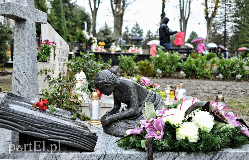 1 listopada na cmentarzu Agrykola zdjęcie nr 139148