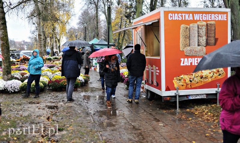 1 listopada na cmentarzu Agrykola zdjęcie nr 139136