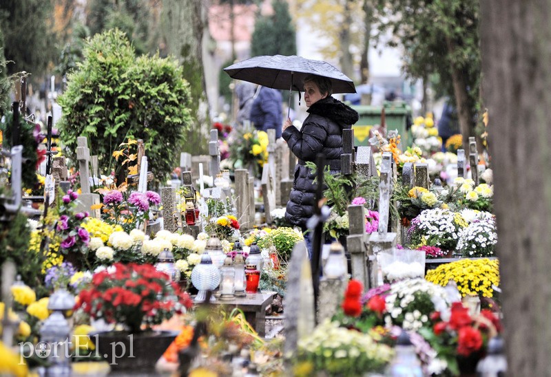 1 listopada na cmentarzu Agrykola zdjęcie nr 139141