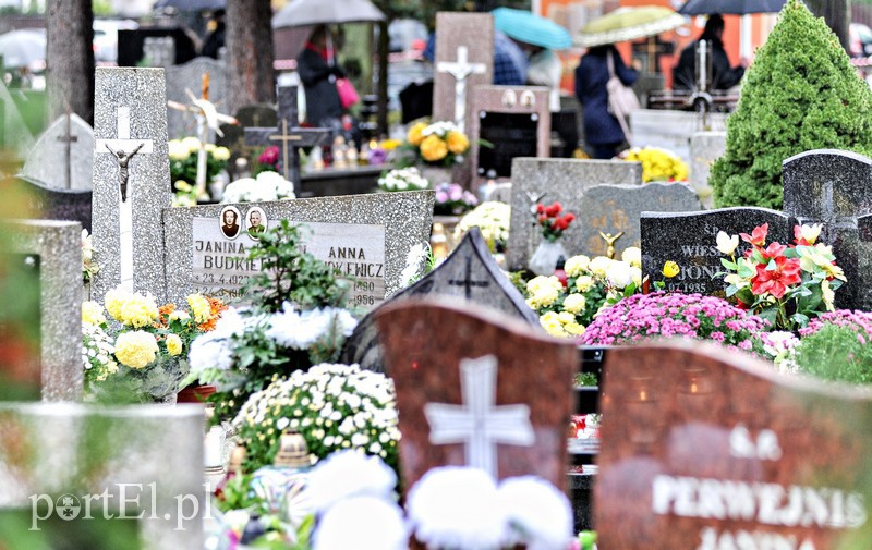 1 listopada na cmentarzu Agrykola zdjęcie nr 139139