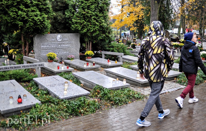 1 listopada na cmentarzu Agrykola zdjęcie nr 139138