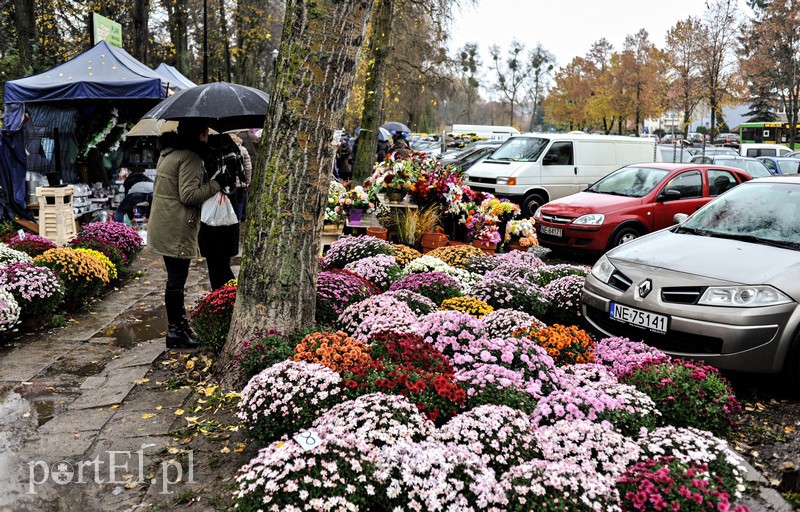 1 listopada na cmentarzu Agrykola zdjęcie nr 139130