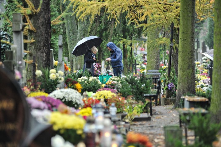 1 listopada na cmentarzu Agrykola zdjęcie nr 139158