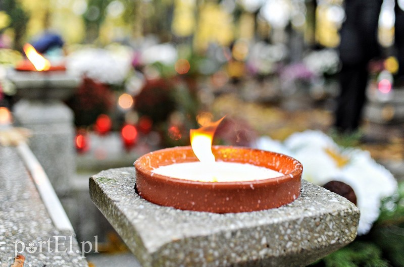 1 listopada na cmentarzu Agrykola zdjęcie nr 139146