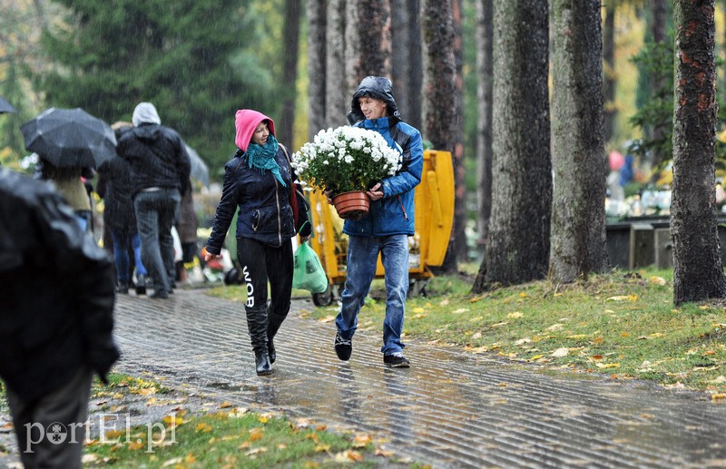 1 listopada na cmentarzu Agrykola zdjęcie nr 139155