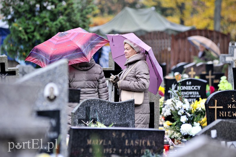 1 listopada na cmentarzu Agrykola zdjęcie nr 139140