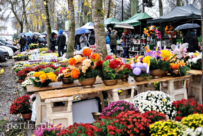 1 listopada na cmentarzu Agrykola zdjęcie nr 139135