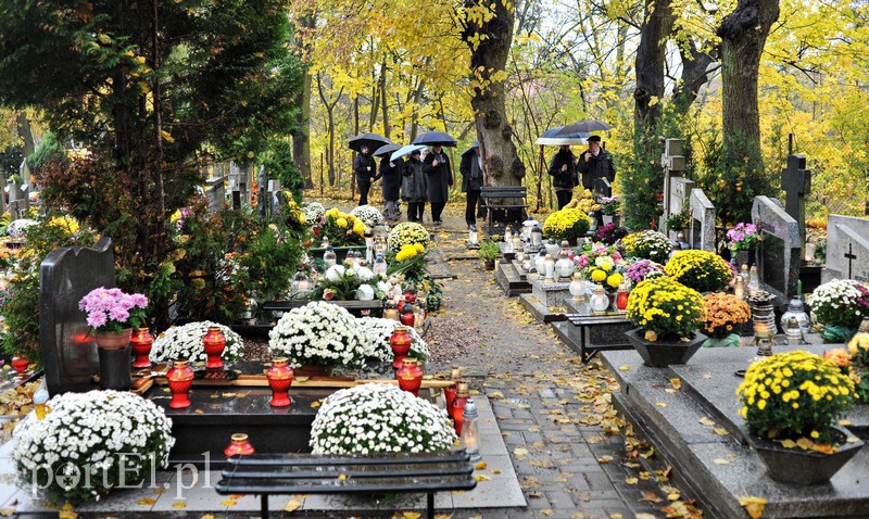 1 listopada na cmentarzu Agrykola zdjęcie nr 139147