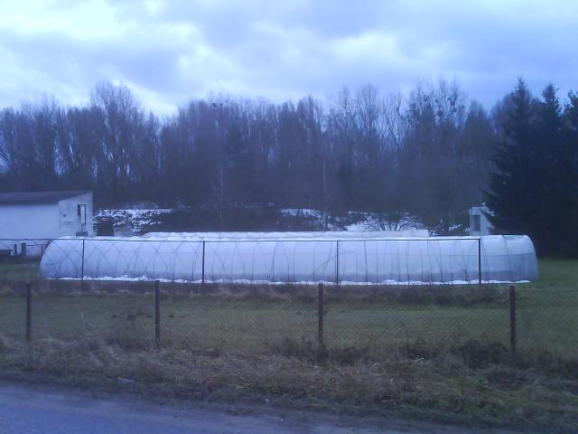 Gronowo Górne zdjęcie nr 10918