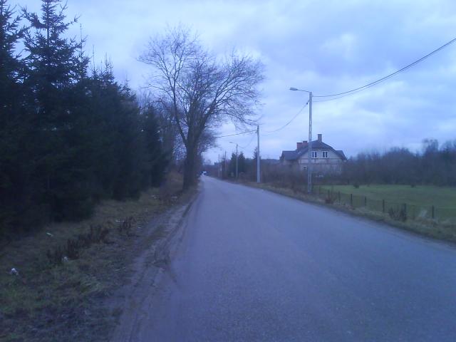 Gronowo Górne zdjęcie nr 10917