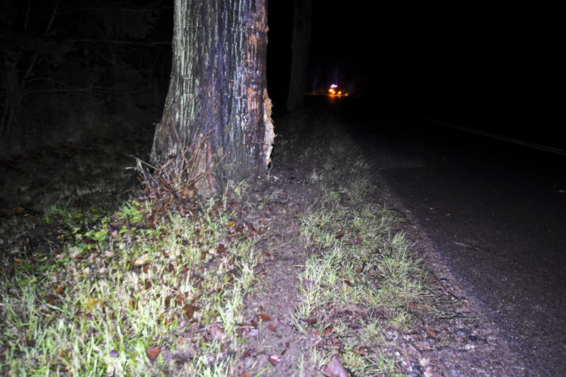 Wypadł z drogi i otarł się o dwa drzewa zdjęcie nr 140118