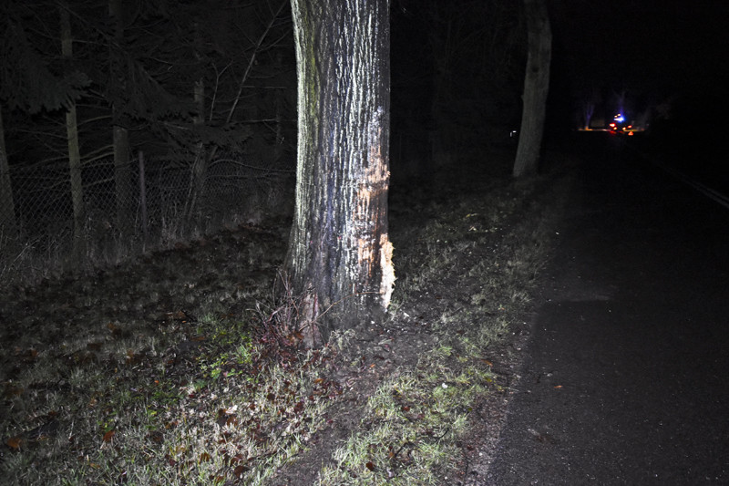 Wypadł z drogi i otarł się o dwa drzewa zdjęcie nr 140117