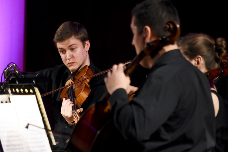 Z koncertów parkowych na salony zdjęcie nr 140654