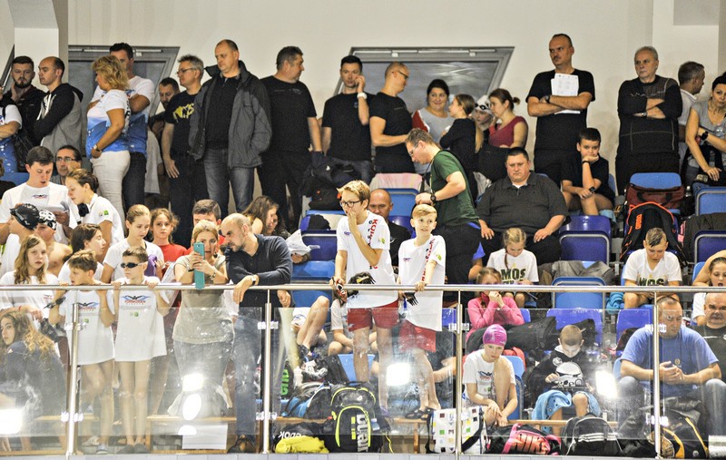 Pływacy z województwa rywalizują w Elblągu zdjęcie nr 140722