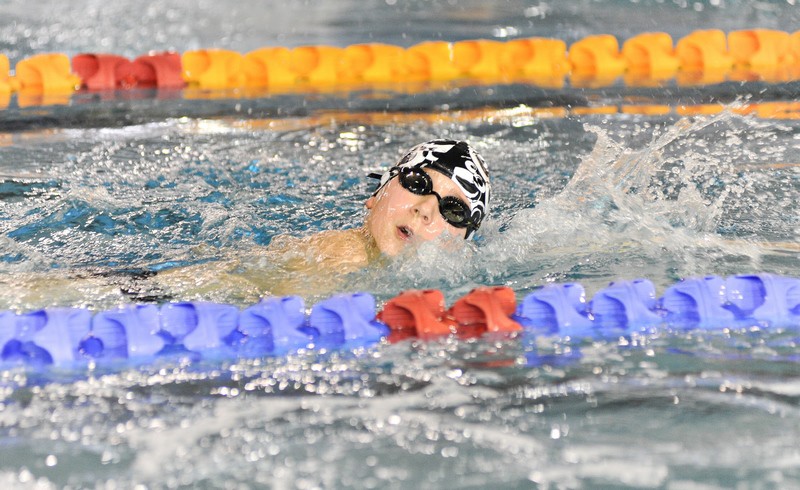 Pływacy z województwa rywalizują w Elblągu zdjęcie nr 140717