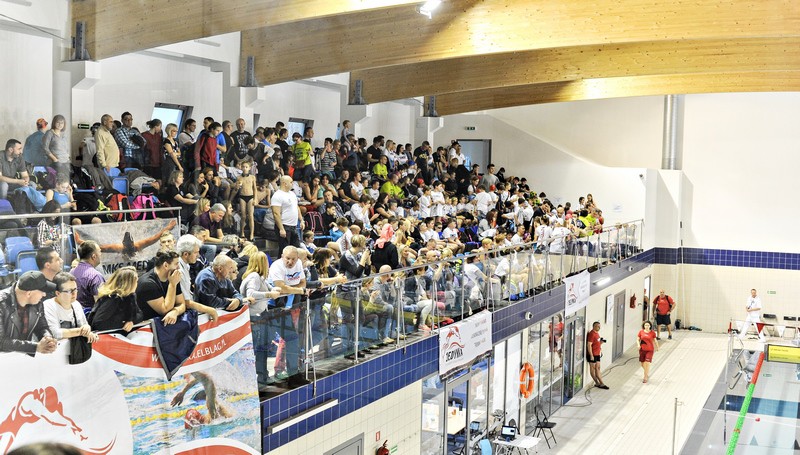 Pływacy z województwa rywalizują w Elblągu zdjęcie nr 140704