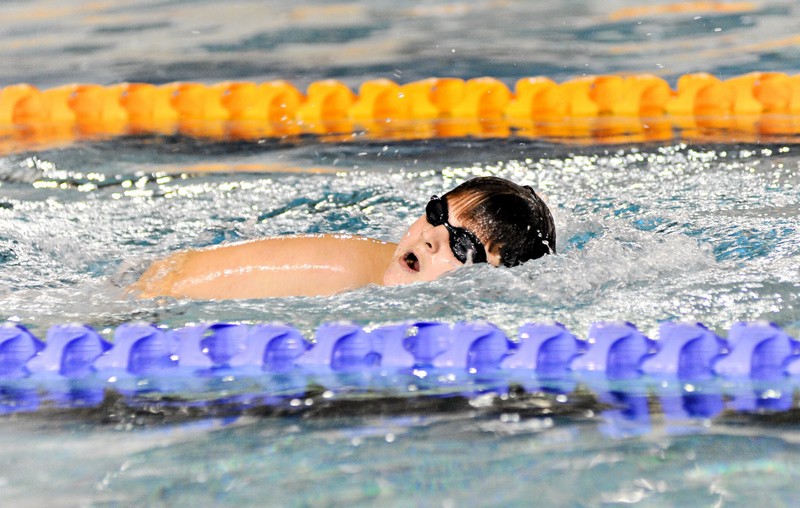 Pływacy z województwa rywalizują w Elblągu zdjęcie nr 140719
