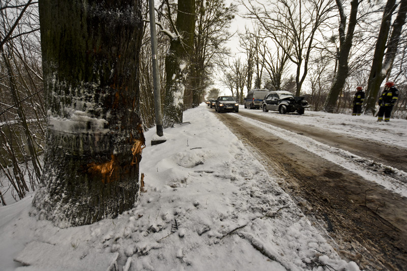 Wpadł w poślizg i uderzył w drzewo. Dwie osoby ranne zdjęcie nr 140809