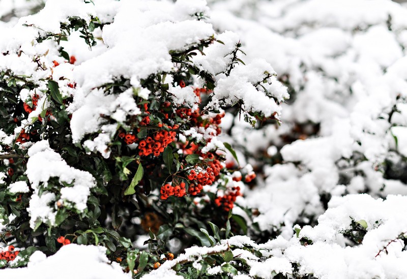 Pierwszy atak zimy zdjęcie nr 140825