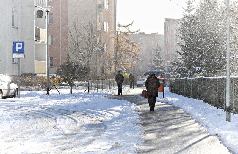 Pierwszy atak zimy zdjęcie nr 140837