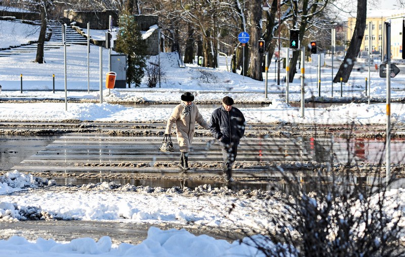 Pierwszy atak zimy zdjęcie nr 140835