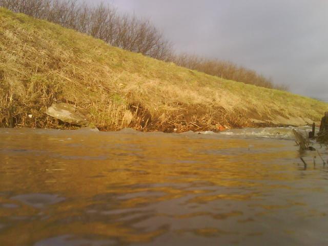 Nowina zdjęcie nr 11049