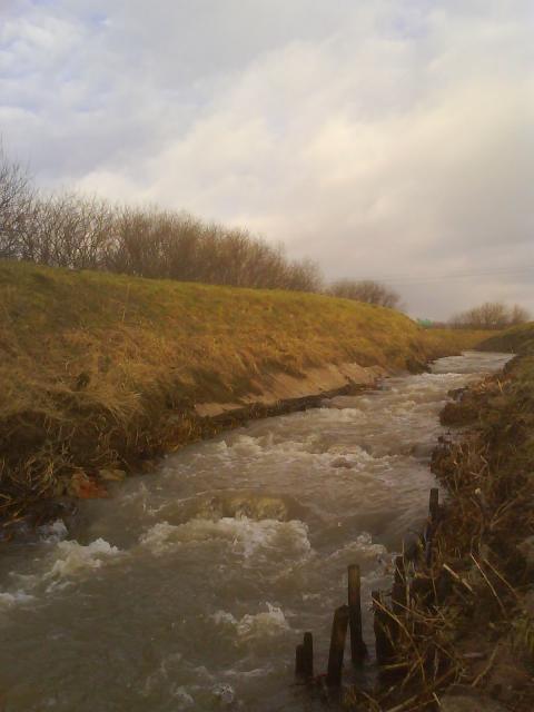 Nowina zdjęcie nr 11036