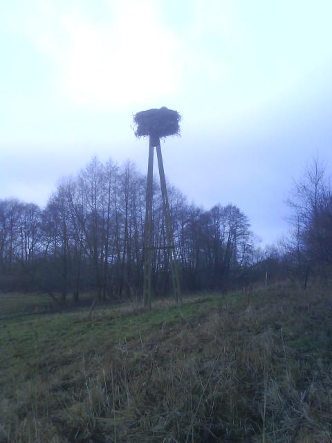 Nowina zdjęcie nr 11043