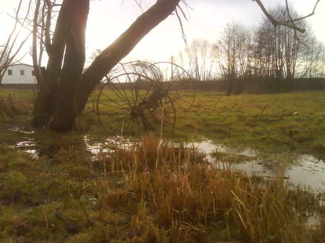 Nowina zdjęcie nr 11044