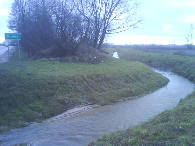 Nowina zdjęcie nr 11038