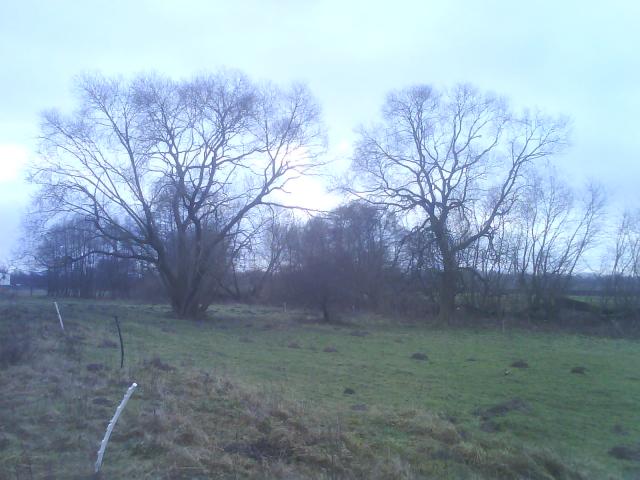 Nowina zdjęcie nr 11039