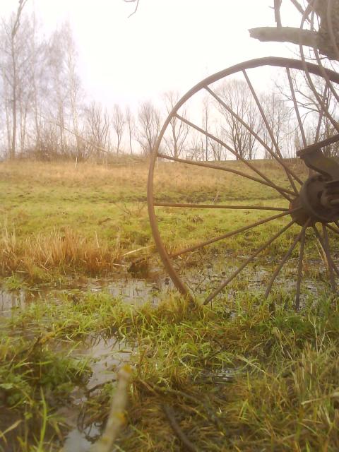 Nowina zdjęcie nr 11045