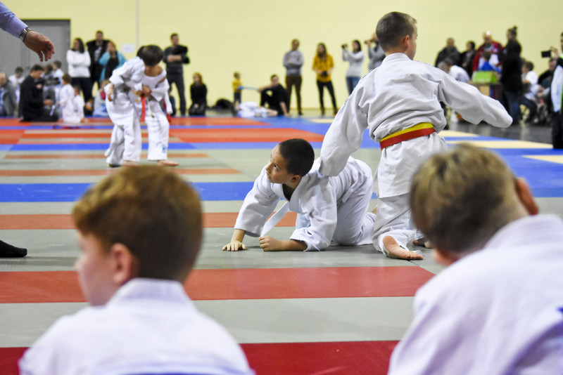 Walczyły nadzieje judo zdjęcie nr 141148