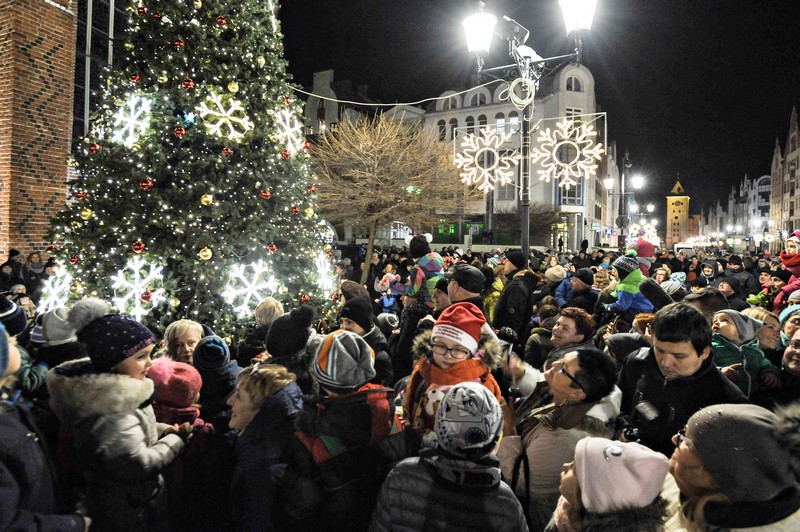 Jej wysokość choinka zdjęcie nr 141291