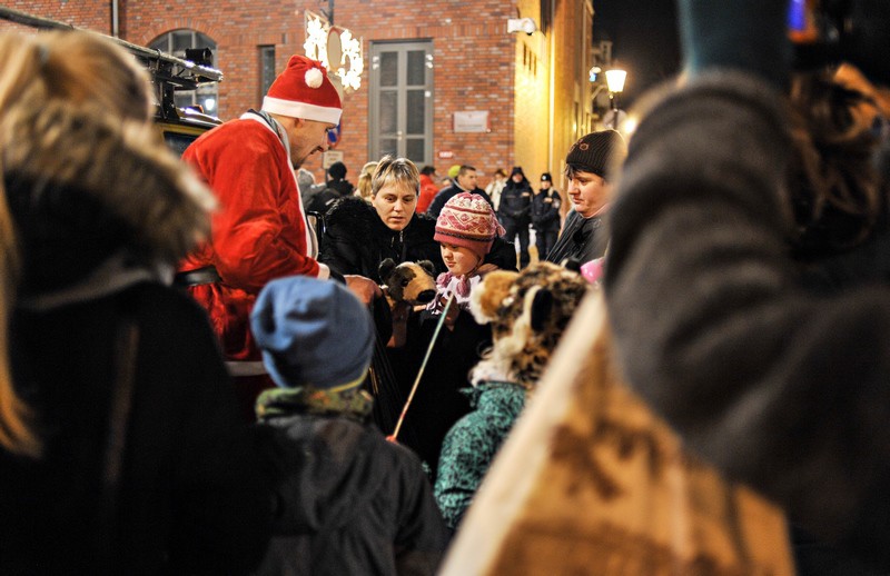 Jej wysokość choinka zdjęcie nr 141275