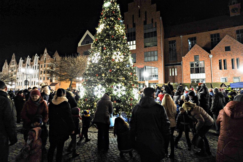 Jej wysokość choinka zdjęcie nr 141294