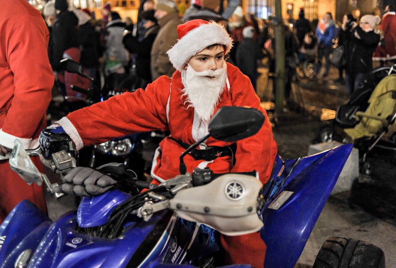 Jej wysokość choinka zdjęcie nr 141278