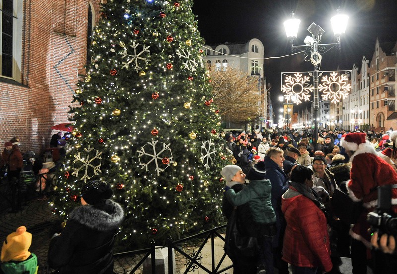 Jej wysokość choinka zdjęcie nr 141293