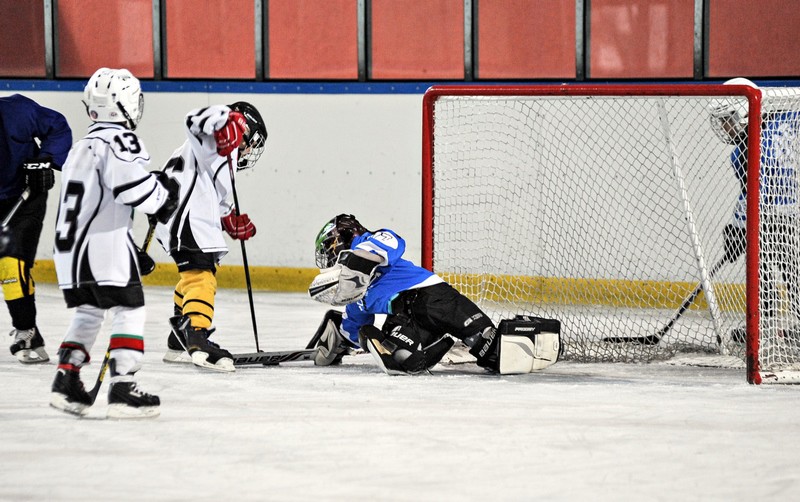 Mali Wikingowie w ataku zdjęcie nr 141514