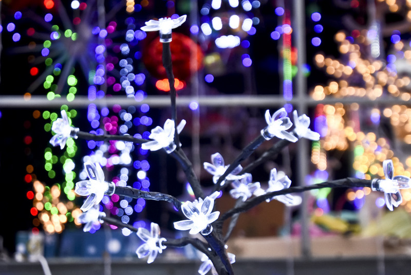 Starówka na świątecznie zdjęcie nr 141852