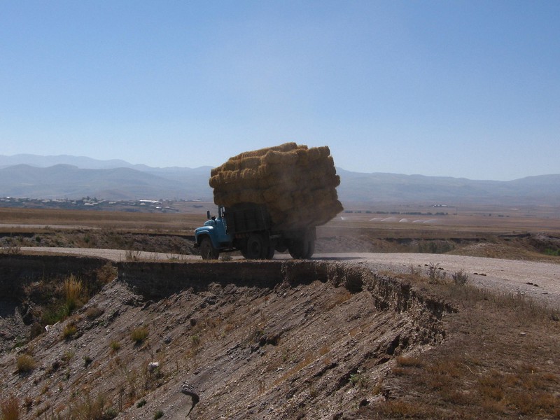Uśmiech jest przepustką do ludzi zdjęcie nr 142545