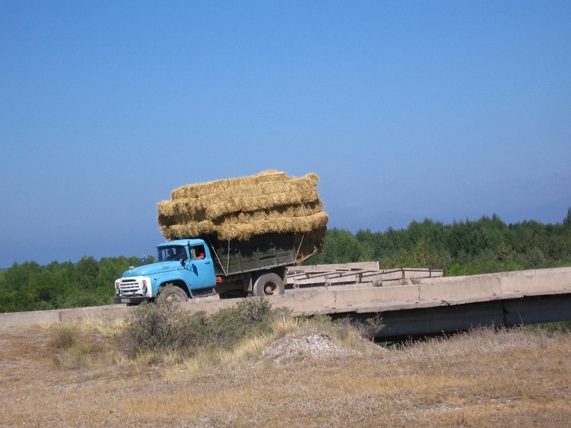Uśmiech jest przepustką do ludzi zdjęcie nr 142544