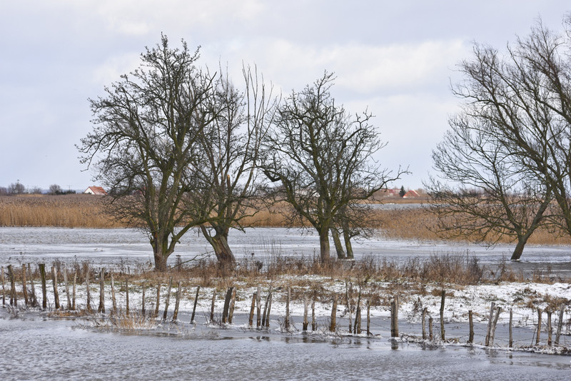 Trwa walka z wodą zdjęcie nr 142698