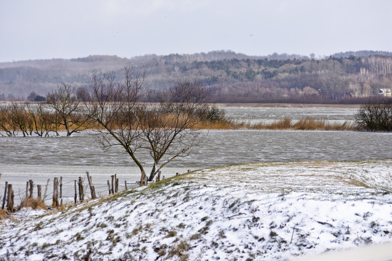 Trwa walka z wodą zdjęcie nr 142697