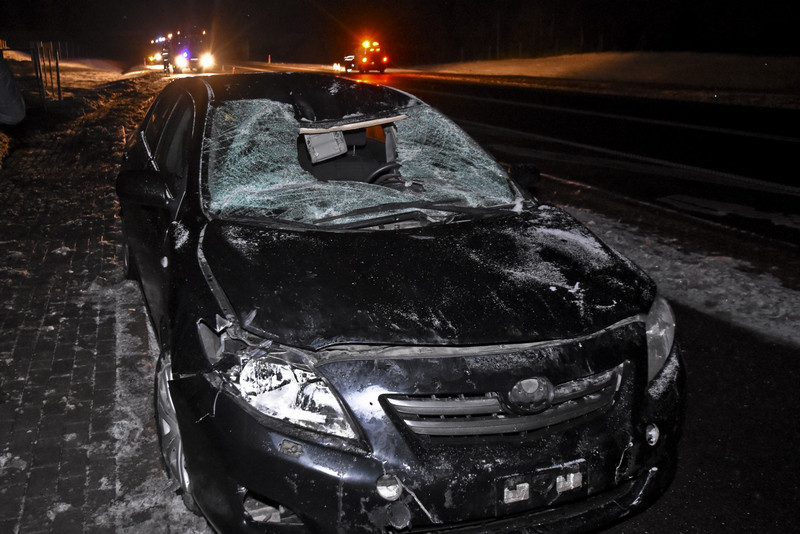 Trasa S22: Toyota i seat uderzyły w łosia zdjęcie nr 142893