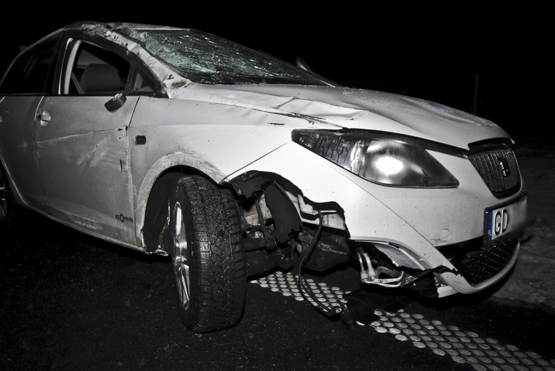 Trasa S22: Toyota i seat uderzyły w łosia zdjęcie nr 142904